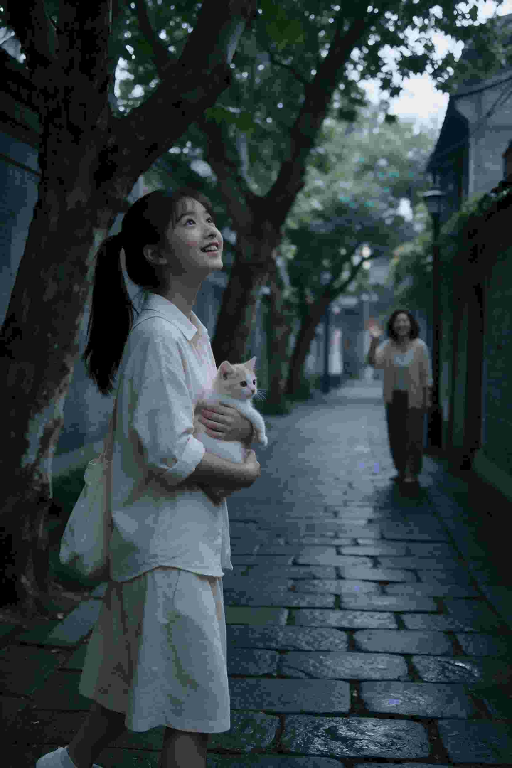 扭曲的爱